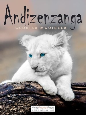 cover image of Andizenzanga